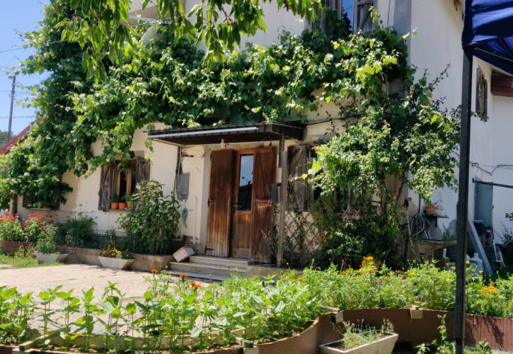 Azienda Agricola LE DELIZIE DI MARIANNA
